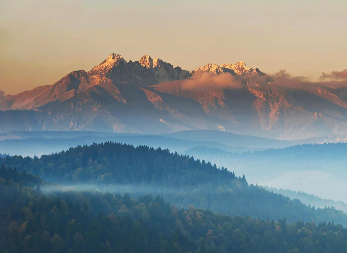 6 Największych Błędów Na Drodze Aby organizować imprezy, Które Szybko Zniszczą Twój Plan.