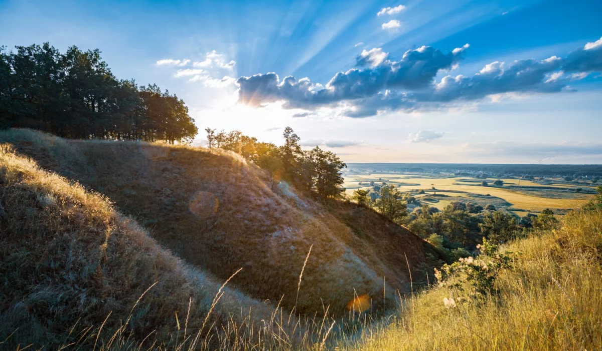 Sprawdź jak możesz stworzyć ładny dom i ogród