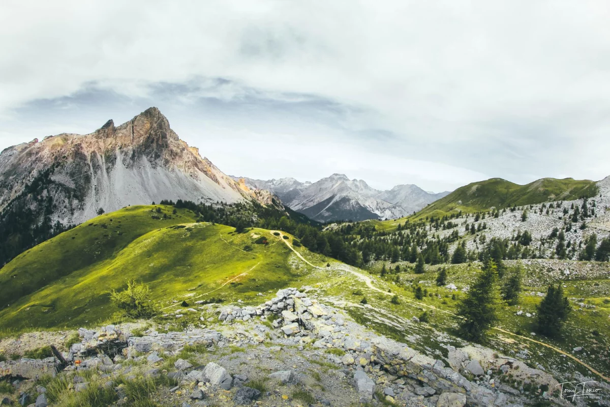 Czy ktoś wie jak złożyć sprawozdanie BDO?