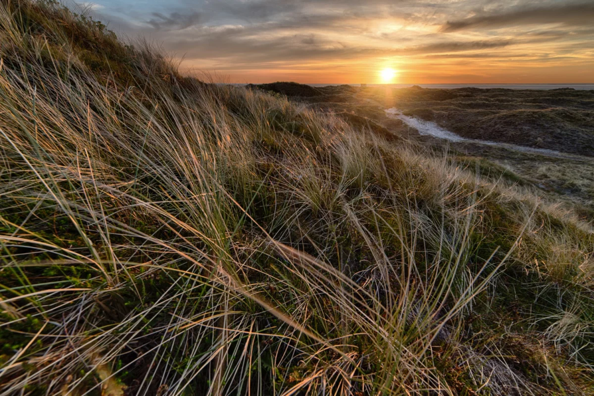 Jak  naprawić klimatyzację i czy 2020 będzie inny?